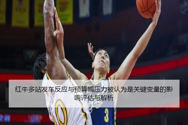 hong-niu-duo-zhan-fa-che-fan-ying-yu-yu-suan-mao-ya-li-bei-ren-wei-shi-guan-jian-bian-liang-de-ying-xiang-ping-gu-yu-2-695.jpg
